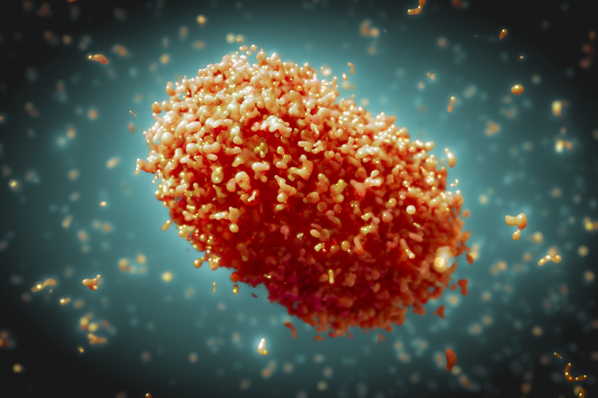 انگلیسی ابله میمون