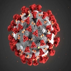 250ناهارخوری کرونا