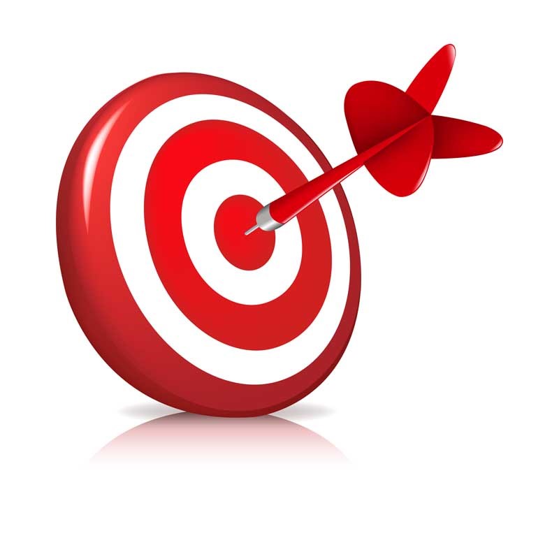 سیاست و چشم انداز mission