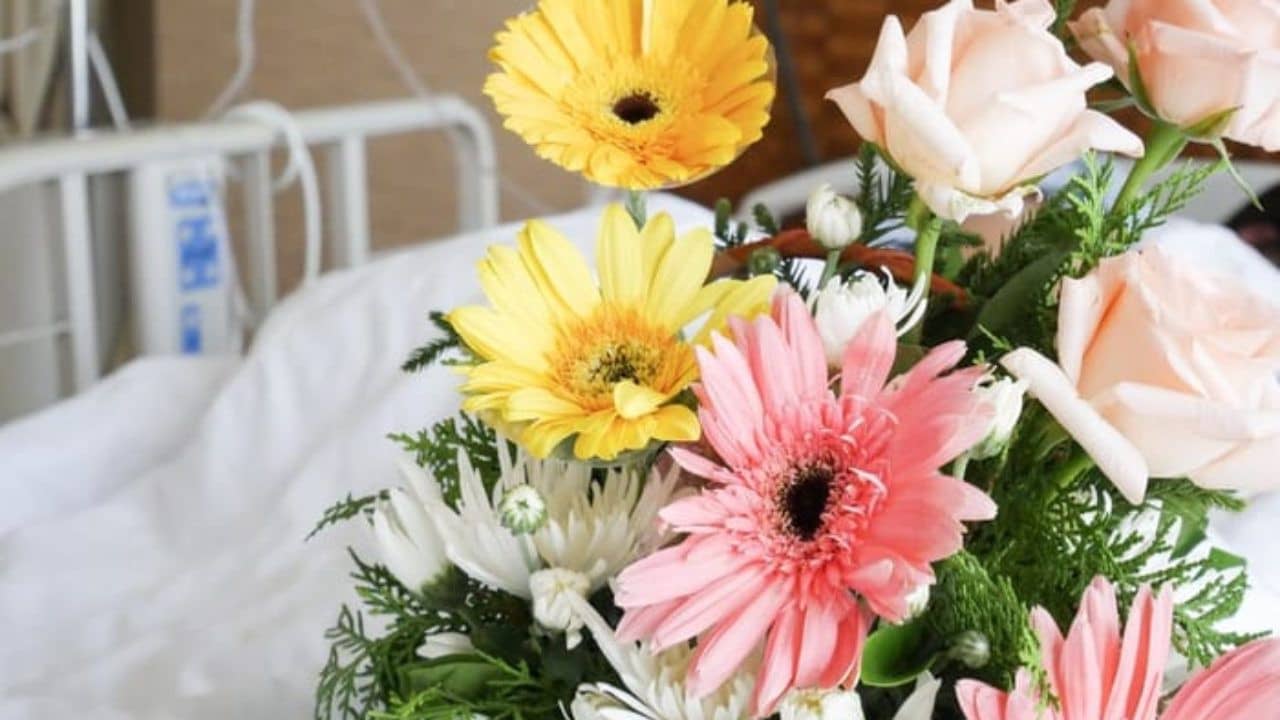 ساعات ملاقات