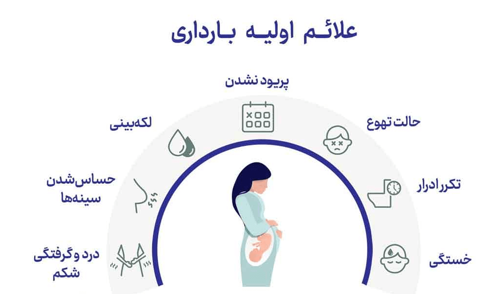 بارداری ماه دوم