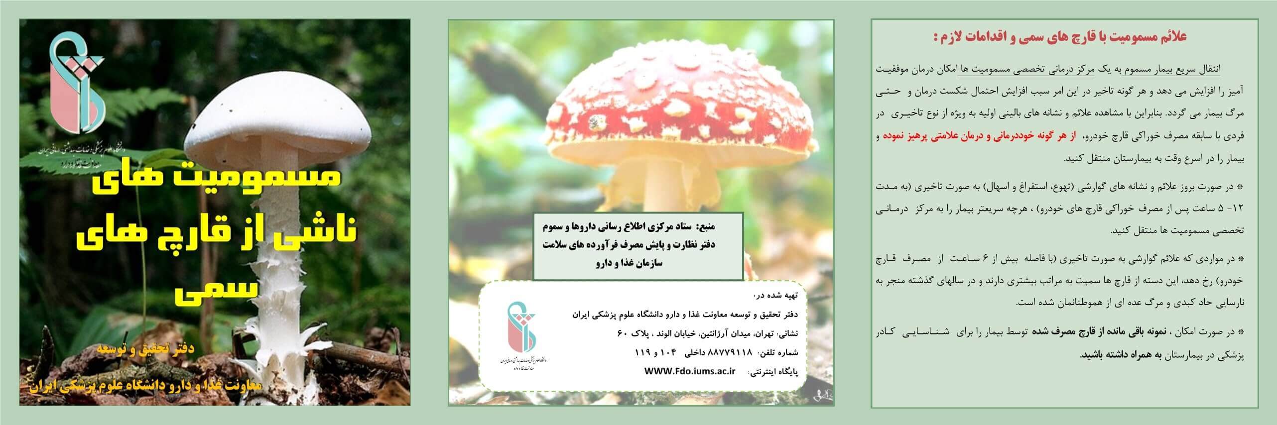 مسمومیت ناشی از قارچ‌های سمی