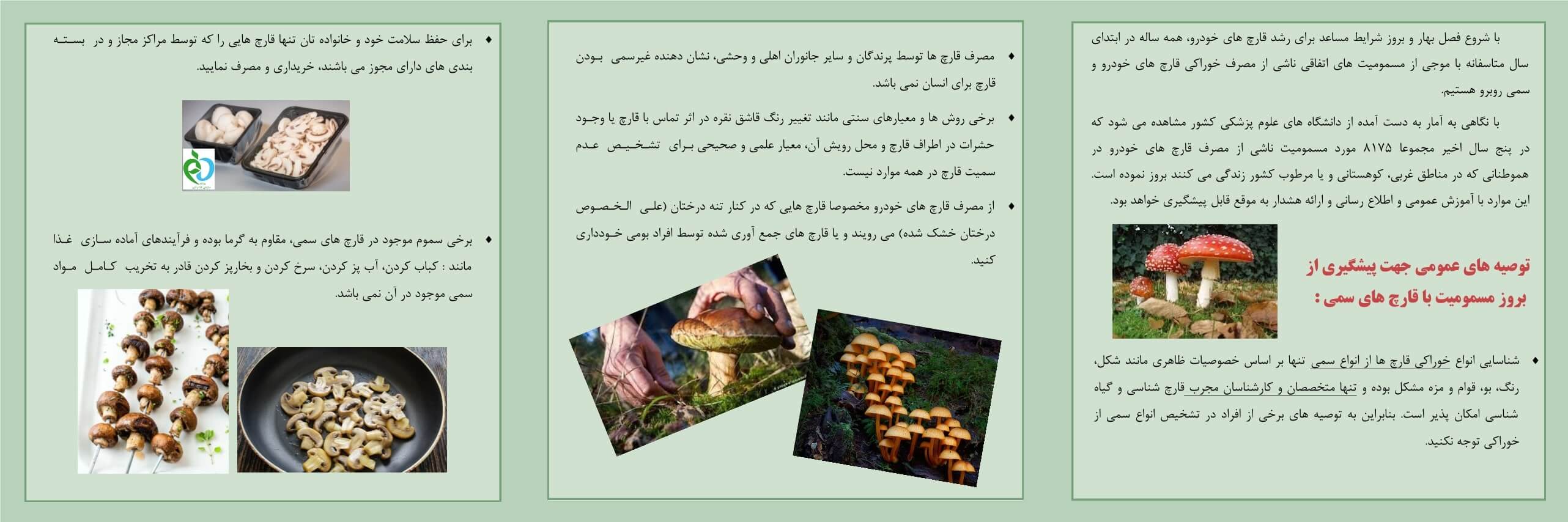 مسمومیت ناشی از قارچ‌های سمی