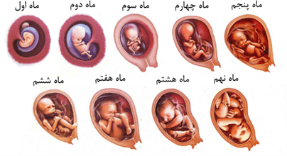 ماه چهارم بارداری