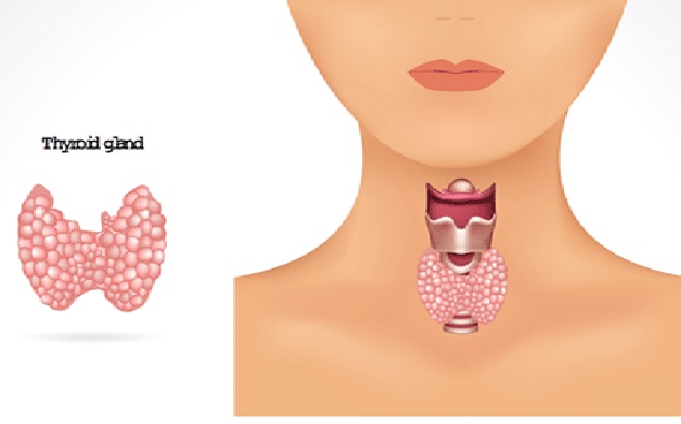 تیروئیدکتومی