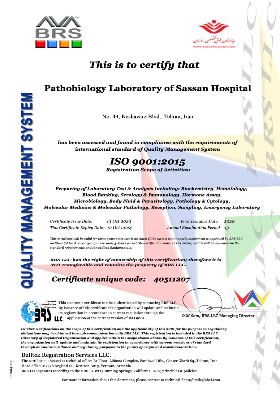 iso9001-2024