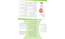 پمفلت سنگ کلیه