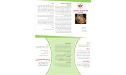 پمفلت شوک قلبی