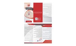 پمفلت دیالیز-کاتتر موقت و دائم