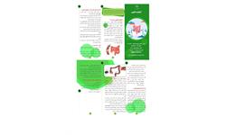 کولونوسکوپی