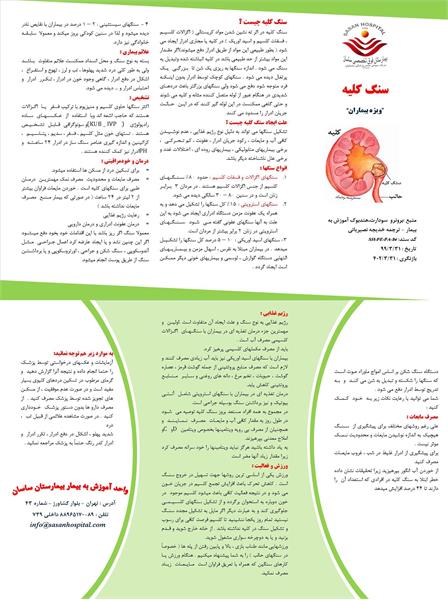 پمفلت سنگ کلیه